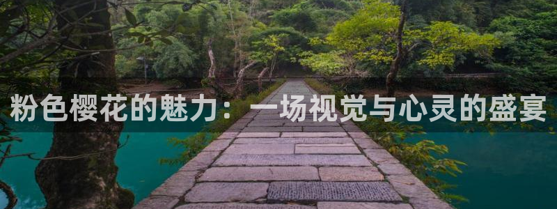 星空盒子影院