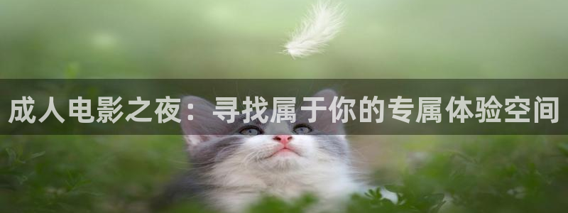 星空免费播放