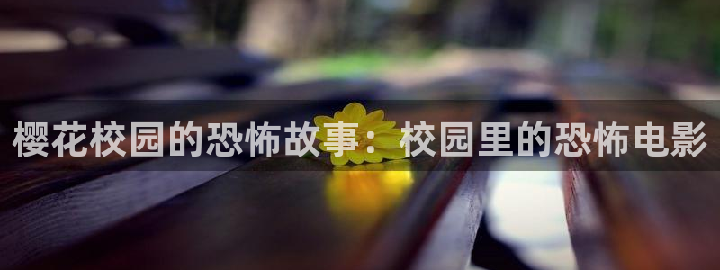 星空视频在线观看完整版