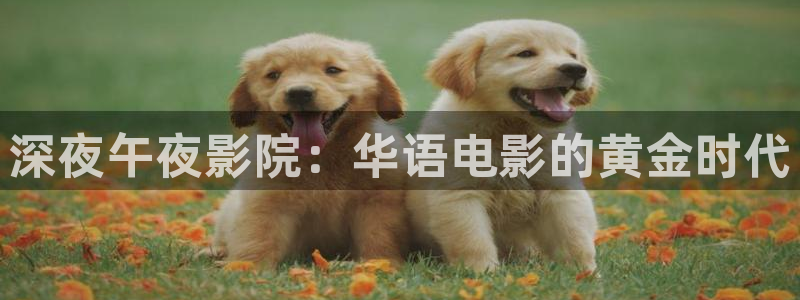 星空影视怎么免费看
