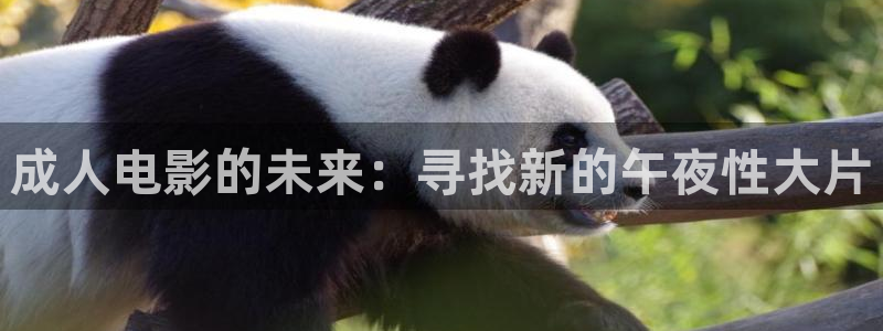 在线观看影院星空