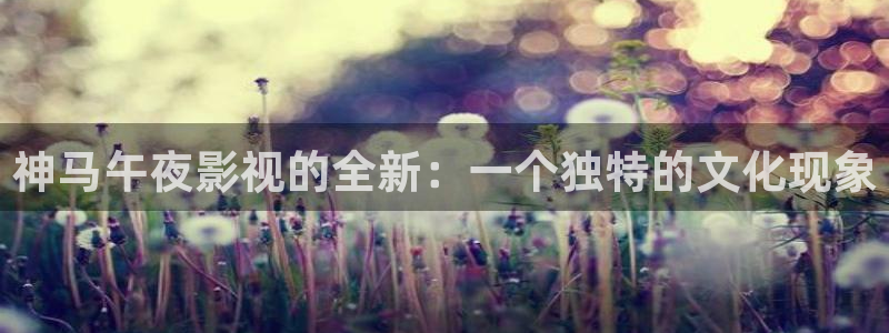 星空影视官网下载