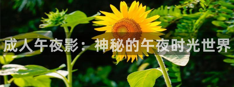 星空空间站影城
