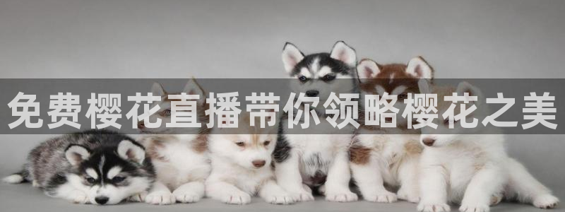 微微一笑很倾城免费观看精东影业
