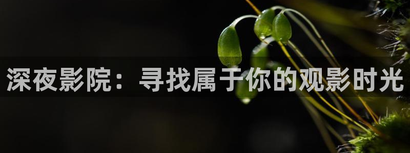 星空视频在线观看电影免费