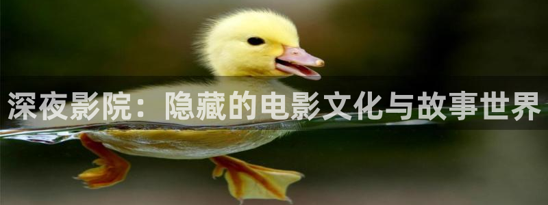 免费电影星空