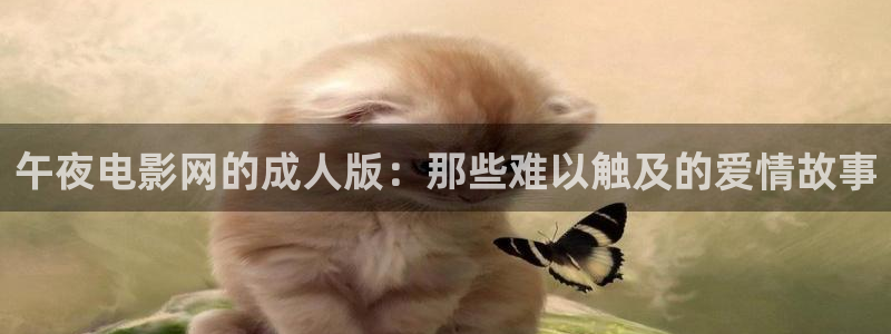 星空影视官网下载