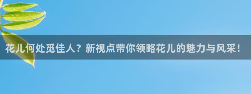 精东影业免费观看电影