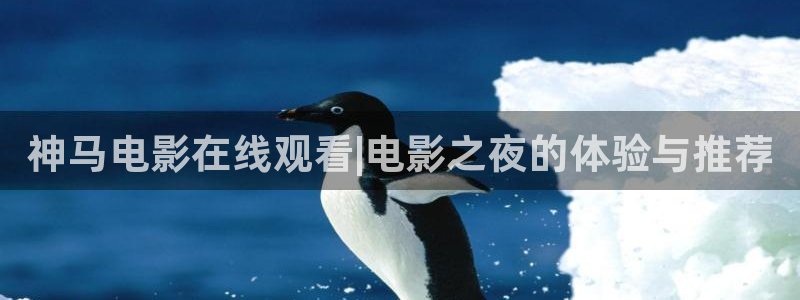 电视剧那片星空那片海2