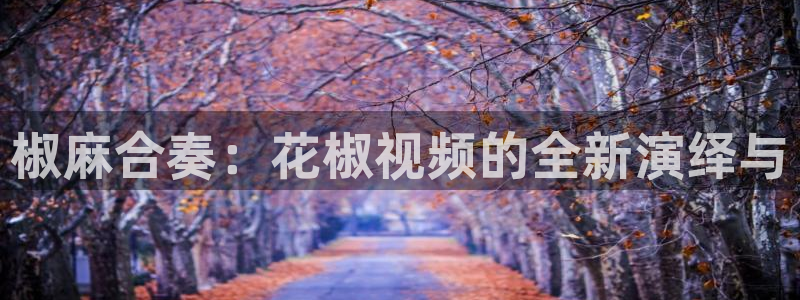 电影网星空