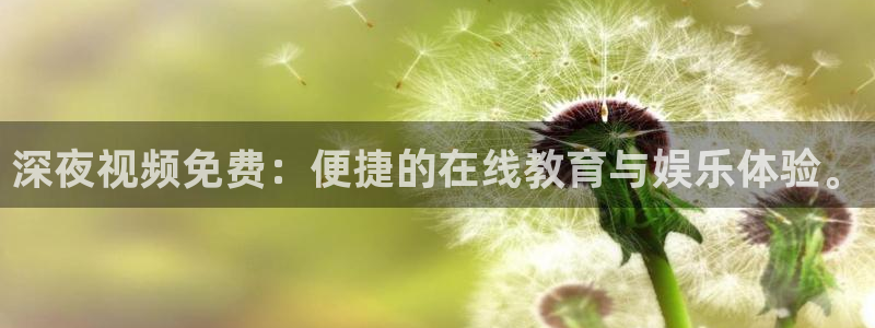 关于星空的画