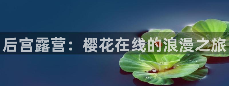 星空电影正片