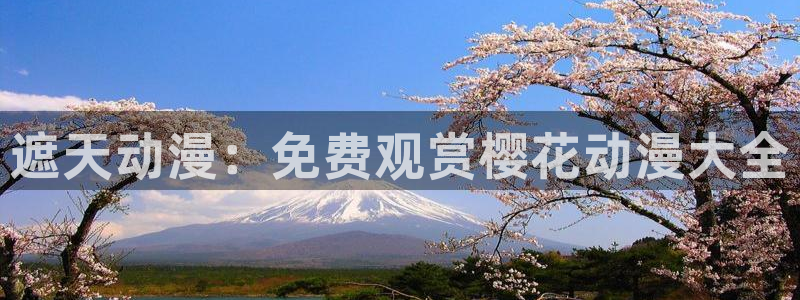 星空影视旧版下载