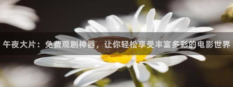 草莓丝瓜视频精东影业
