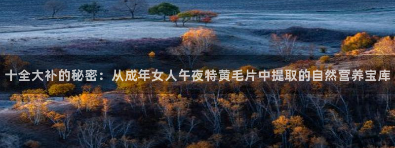 星空电影院线