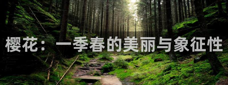 星空视频素材高清