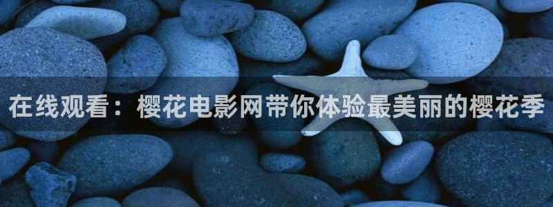 柳舟记电视剧免费观看全集高清精东影业