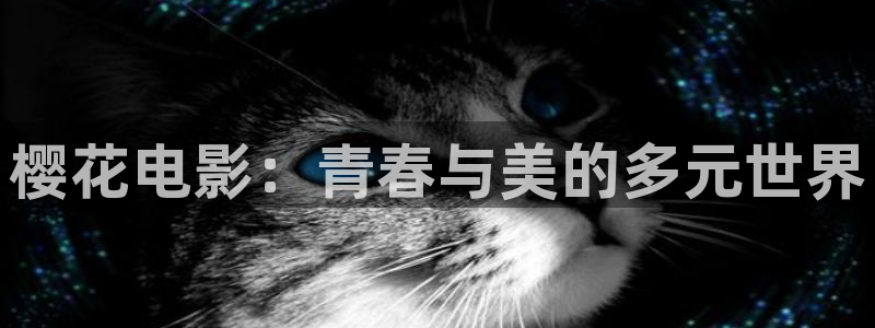 星空电影视频