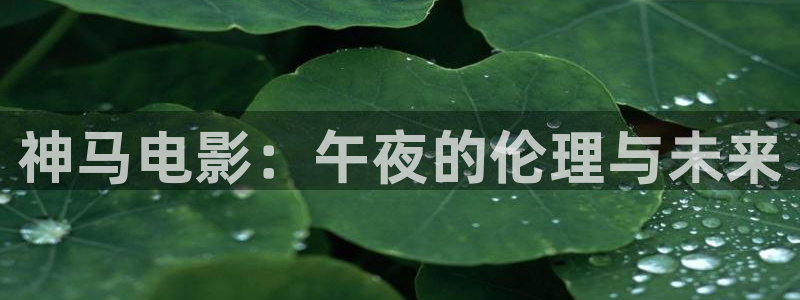 精东影业色戒